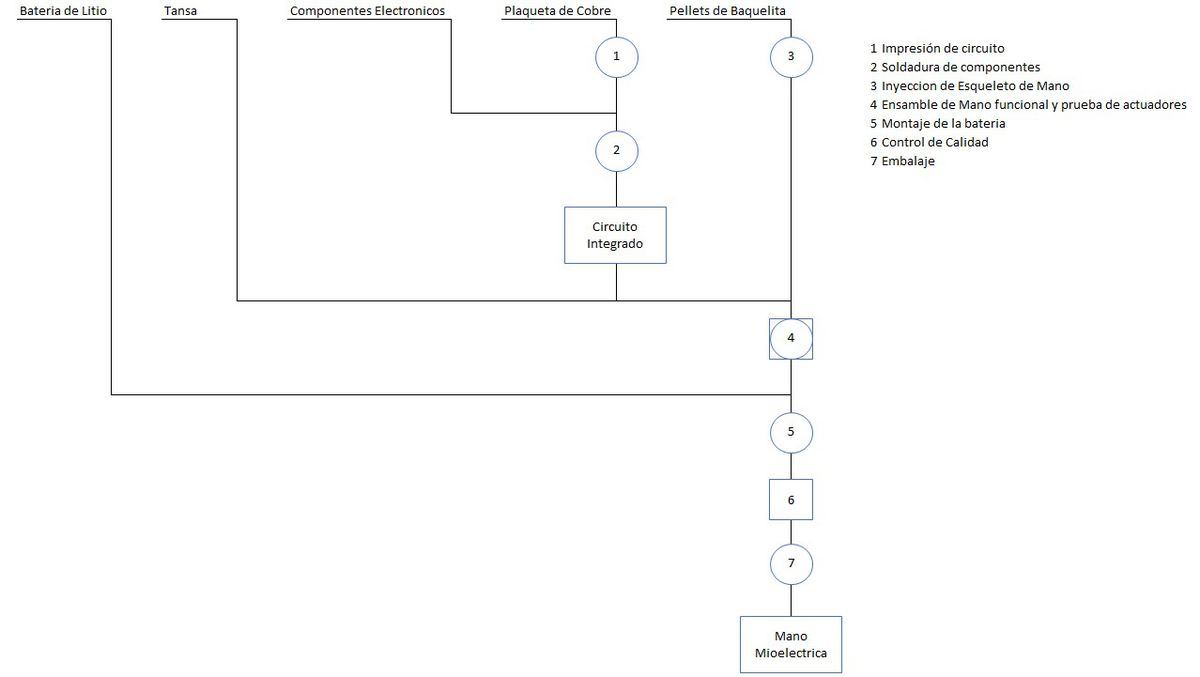 Archivocursograma Sinoptico Procesojpeg Evaluación De Proyectos 1115