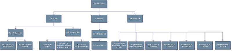 Archivo:Organigrama040625.jpg