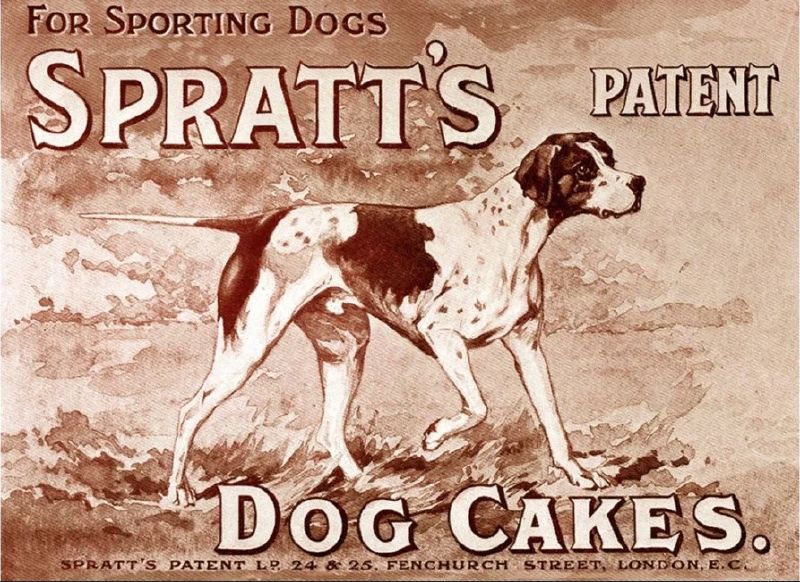 Archivo:Dog cakes.jpg